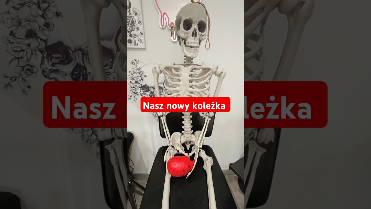 Zdzislaw - NASZ NOWY KOLEŻKA - kto z nim zagra? :D hahah #brawlstars #fortnite #gaming