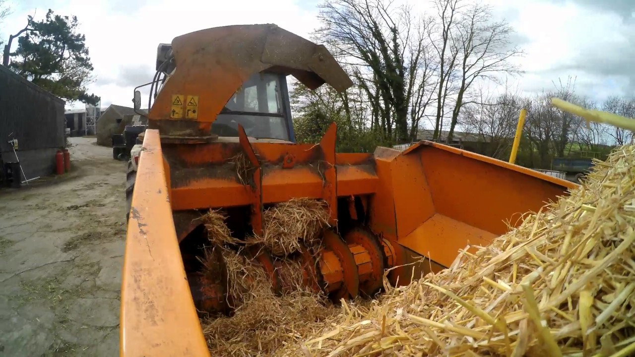 Bedding the yards down with straw.