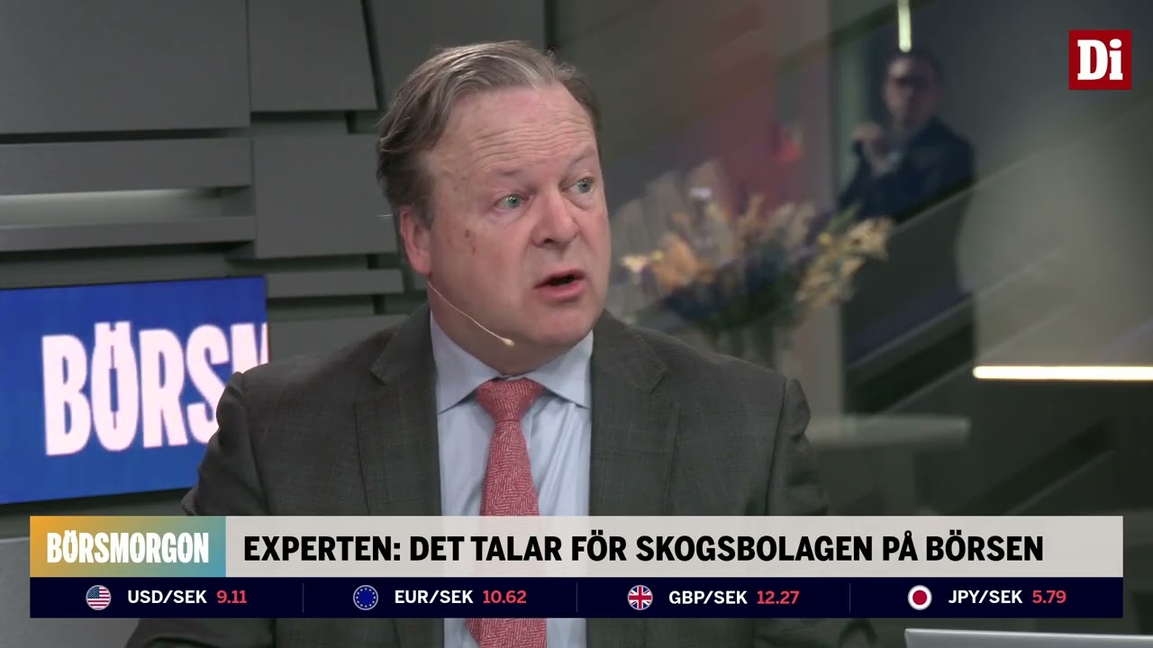 Råvaruexperten: Norge har oljan – vi har skogen