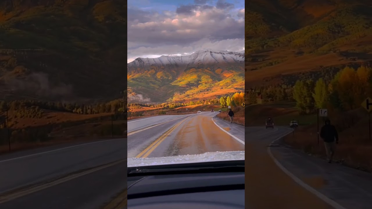 Driving into a sea of gold 🍂 fall in Colorado is unmatched #colorado #fall