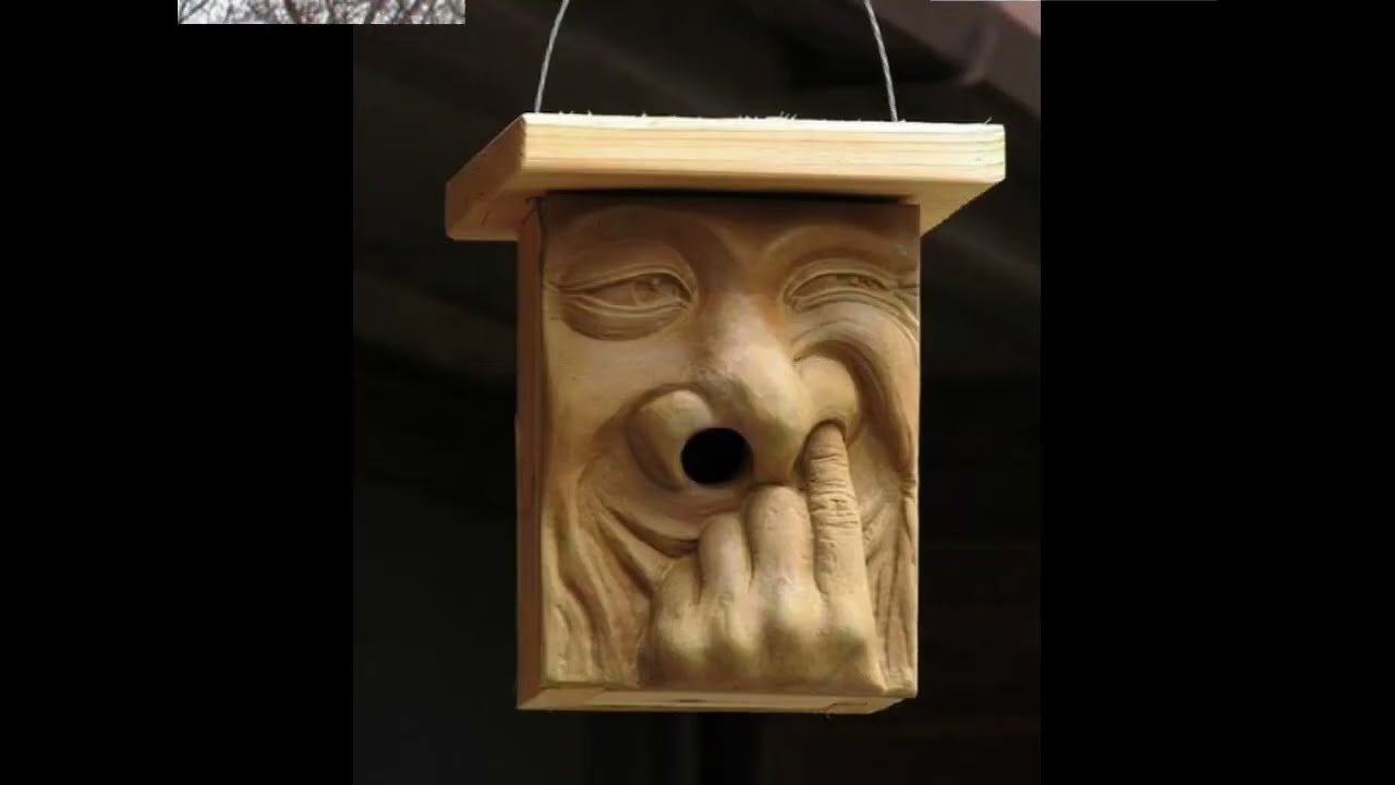 Inspiration gallery of bird houses and feeders