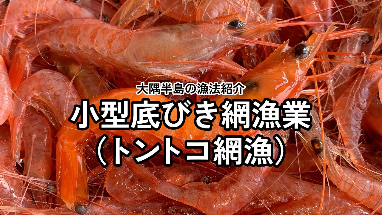 【大隅のさかな】小型底びき網漁業（トントコ網漁）｜大隅半島の漁法紹介