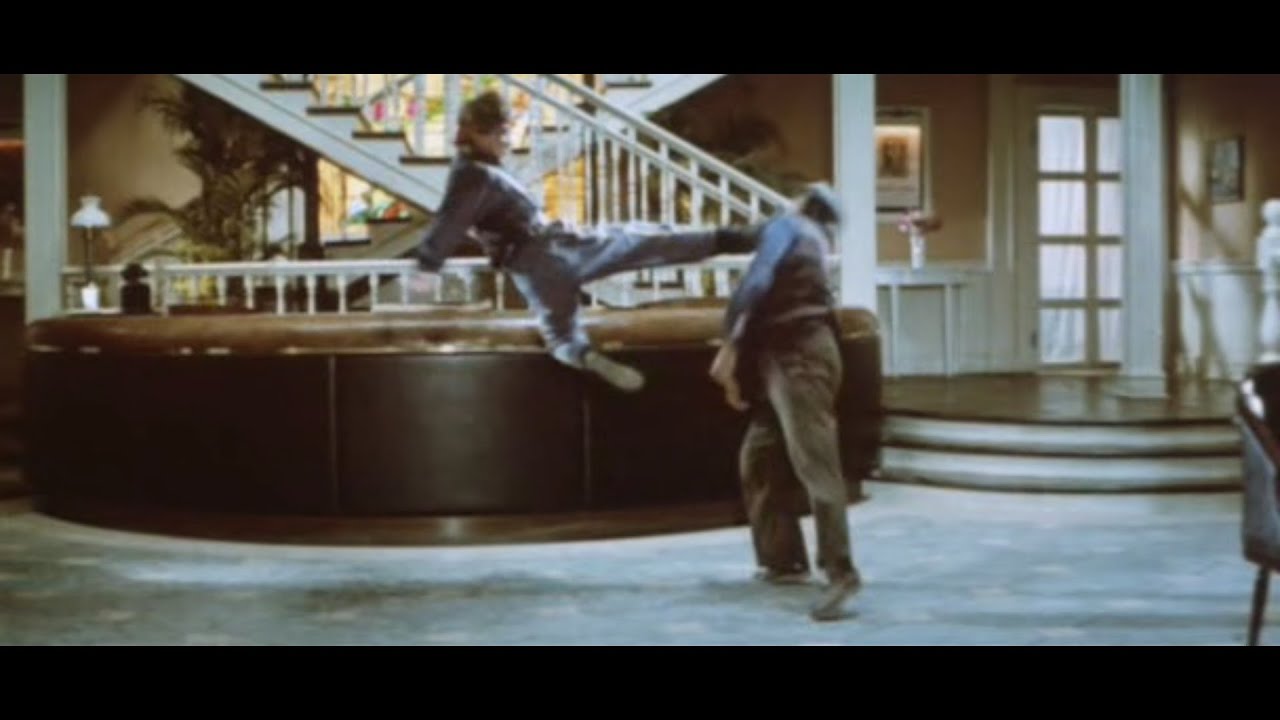 Millionaires' Express (1986) - Cynthia Rothrock vs. Sammo Hung