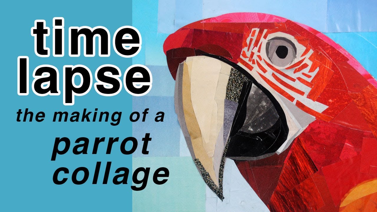 Making a Parrot Collage from Magazine Cutouts