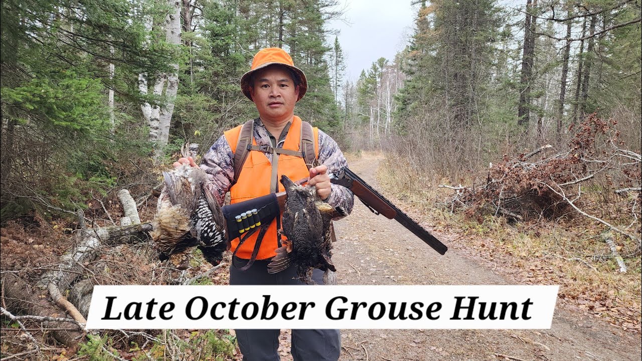 2025: Охота на тетерева в конце октября