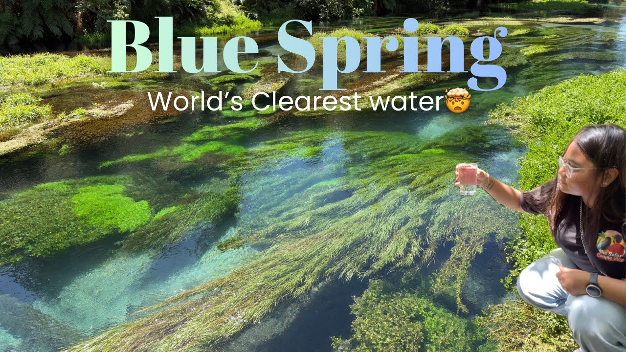 Blue Spring NZ, World’s Clearest Water You Can Drink! 💧 | New Zealand Travel