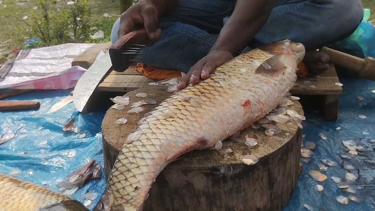 Amazing fish cutting skill || Fish cutting videos#fishcutting 