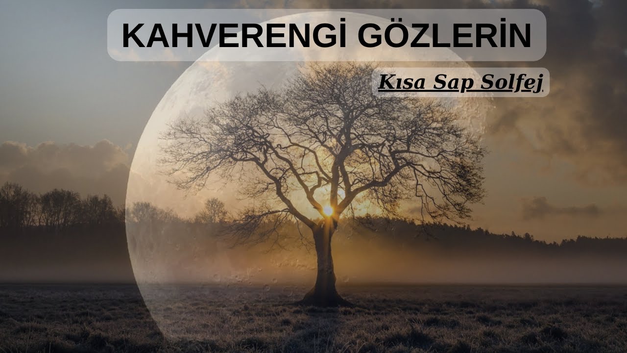 Bağlama Dersi 108 Alaaddin Yiğit ile ( Kısa Sap 