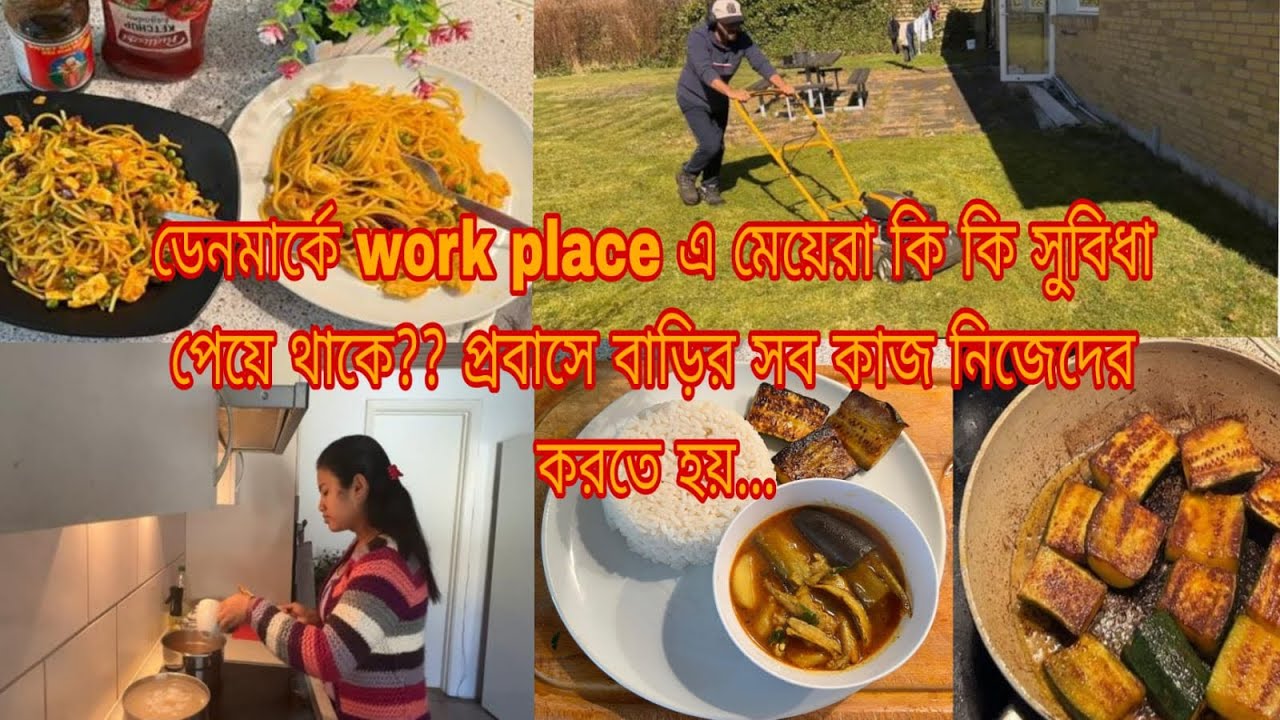 ডেনমার্কে Work Place এ মেয়েরা কি কি সুবিধা পায়?? প্রবাসে বাড়ির সব কাজ নিজেরাই করি…