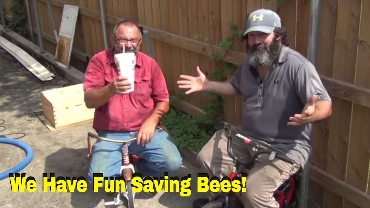 Crazy Beekeepers Rescue Bees From Chemical Plant!