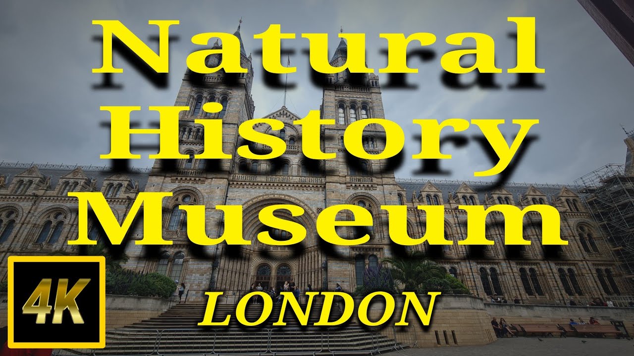 [4k]  🇬🇧 Natural History Museum London 2024- Inside the most impressive National History Museum