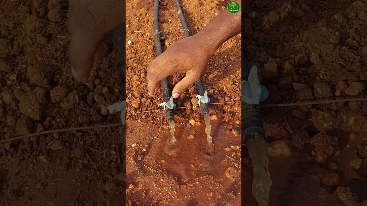 New idea!👌🏻drip irrigation tips #drip #farming #agriculture #tips #short