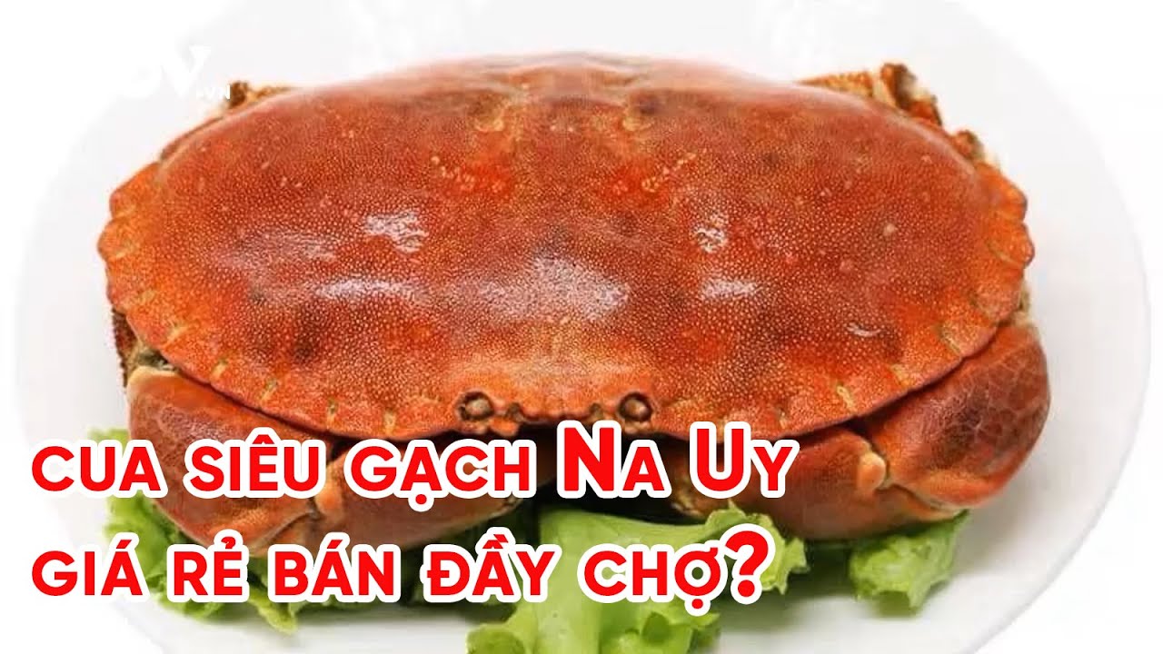 Sự thật về loại cua si&ecirc;u gạch Na Uy gi&aacute; rẻ b&aacute;n đầy chợ