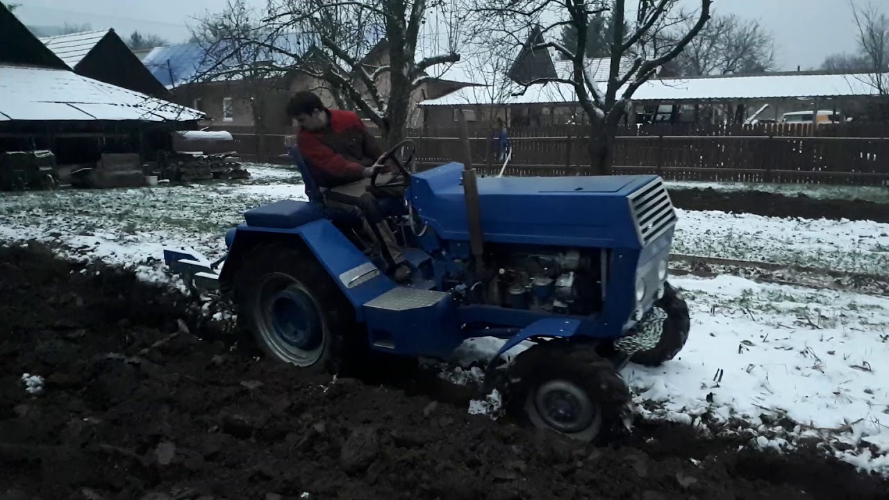 Orba záhrady 2019