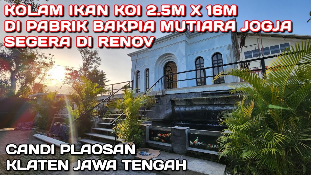KOLAM 2000 TON BELUM SELESAI | RENOV LAGI KOLAM KOI 2.5M X 16M DI PABRIK BAKPIA MUTIARA JOGJA