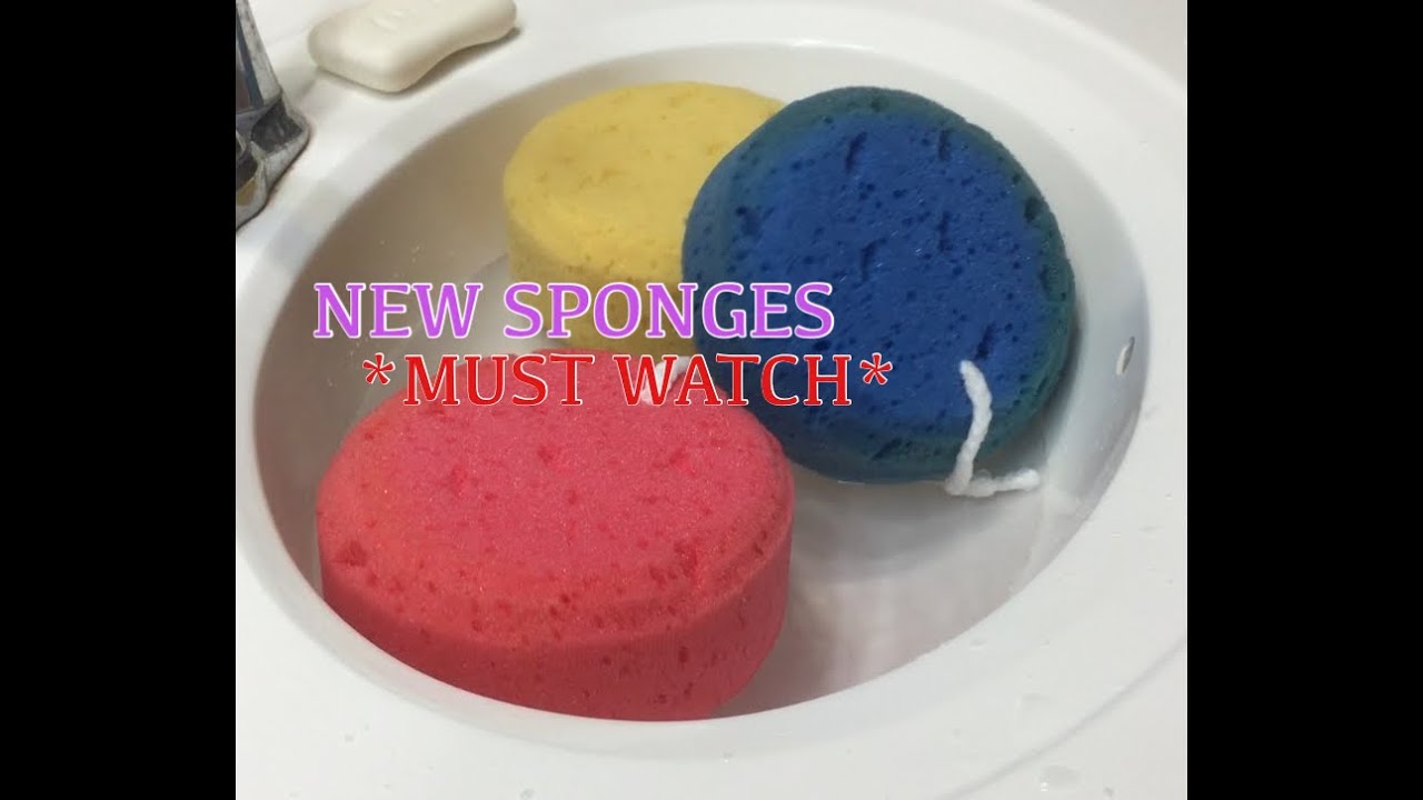 Fizzy Sponge Squeezing 🧽