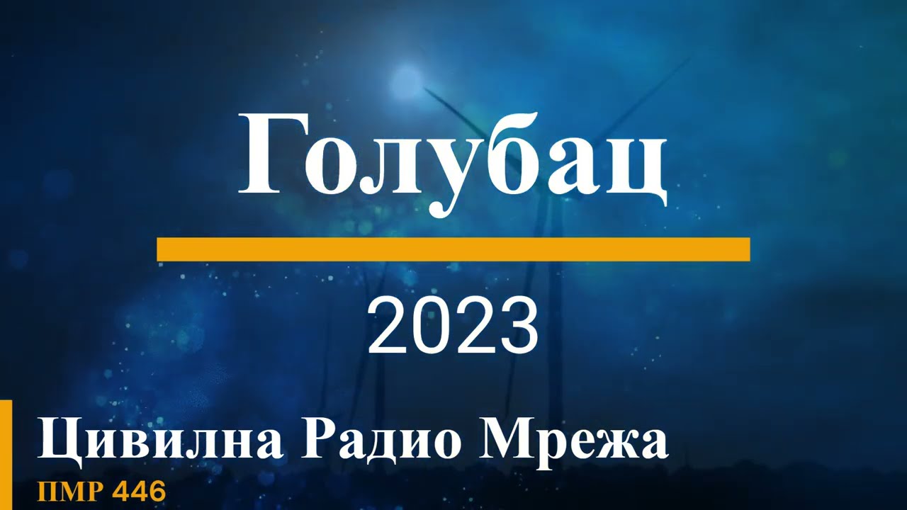 Голубац ЦРМ ПМР446