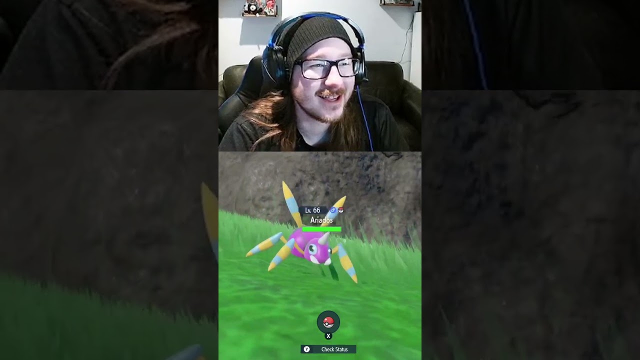 AHHH SPIDER!!!