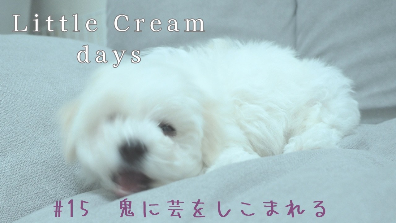 クリームデイズ｜#015  鬼に芸をしこまれる