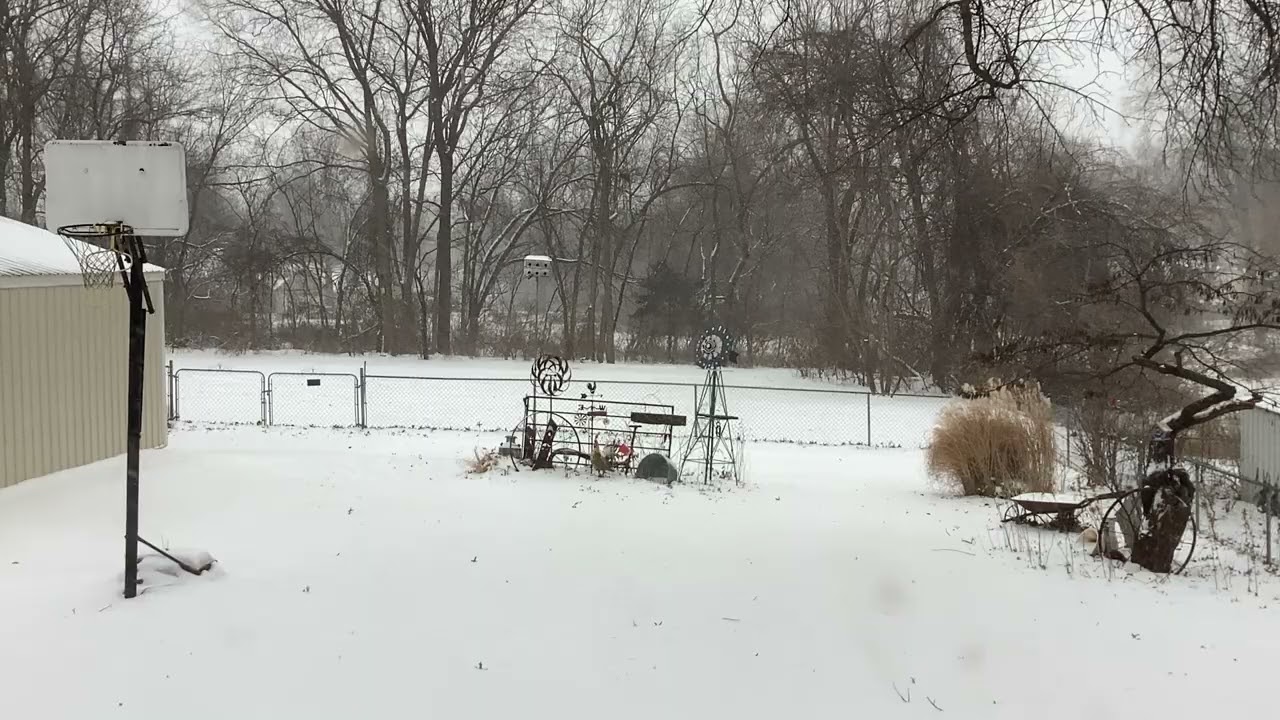 Winter Storm Fern Snowfall With Deer Action!!! January 24, 2026