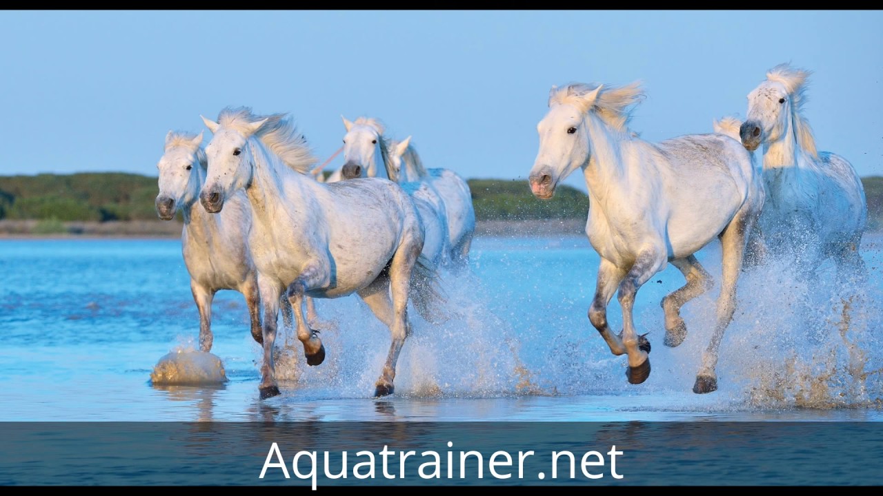 Therapie- und Bewegungszentrum Bawinkel Dust