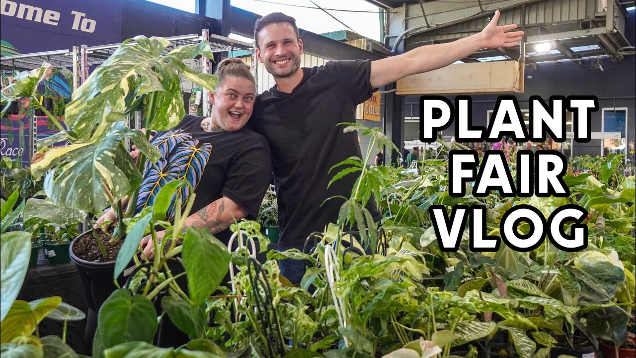 A DAY AT THE COLLECTORS’ PLANT FAIR - shopping, friends, plants, dogs & lots of laughs 