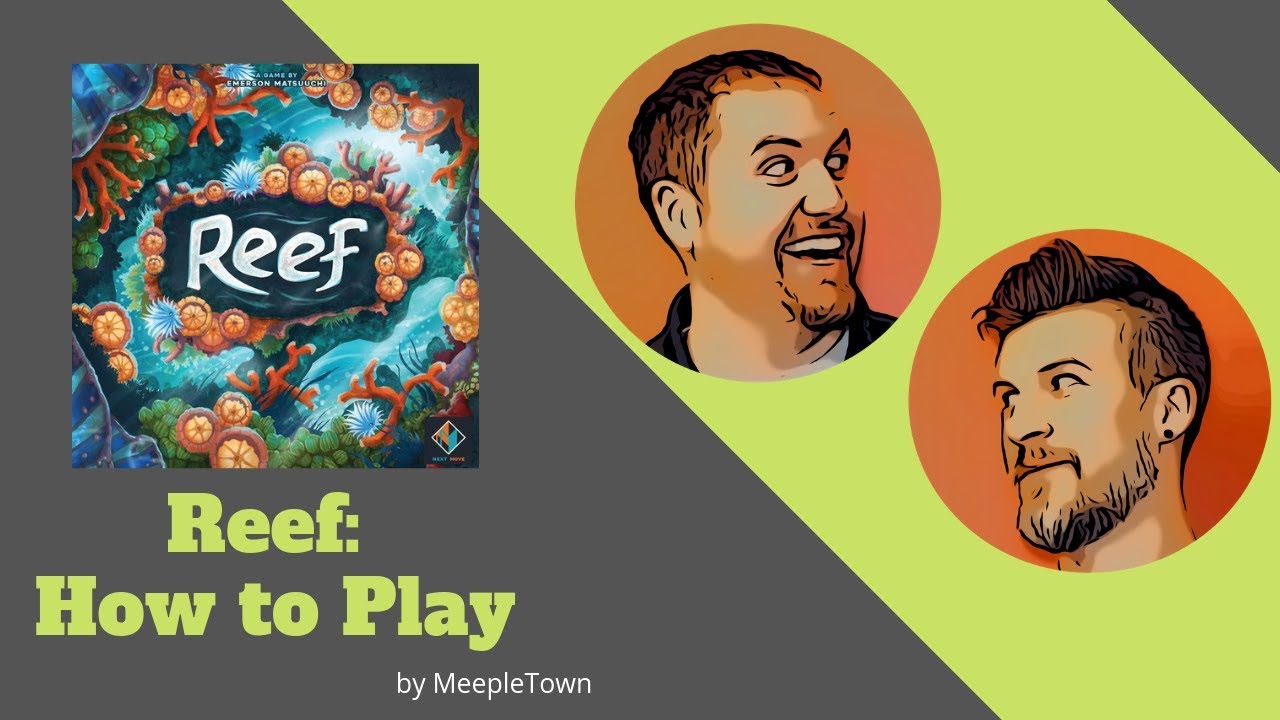 How to Play Reef - MeepleTown