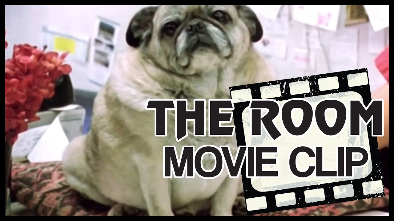 Hi Doggie - Flower Shop Scene - The Room (2003) - 4K (HD) Scene Clip