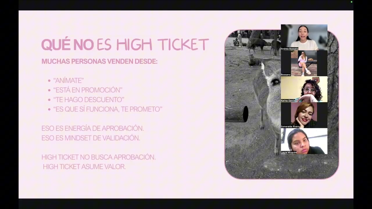 Mindset high ticket