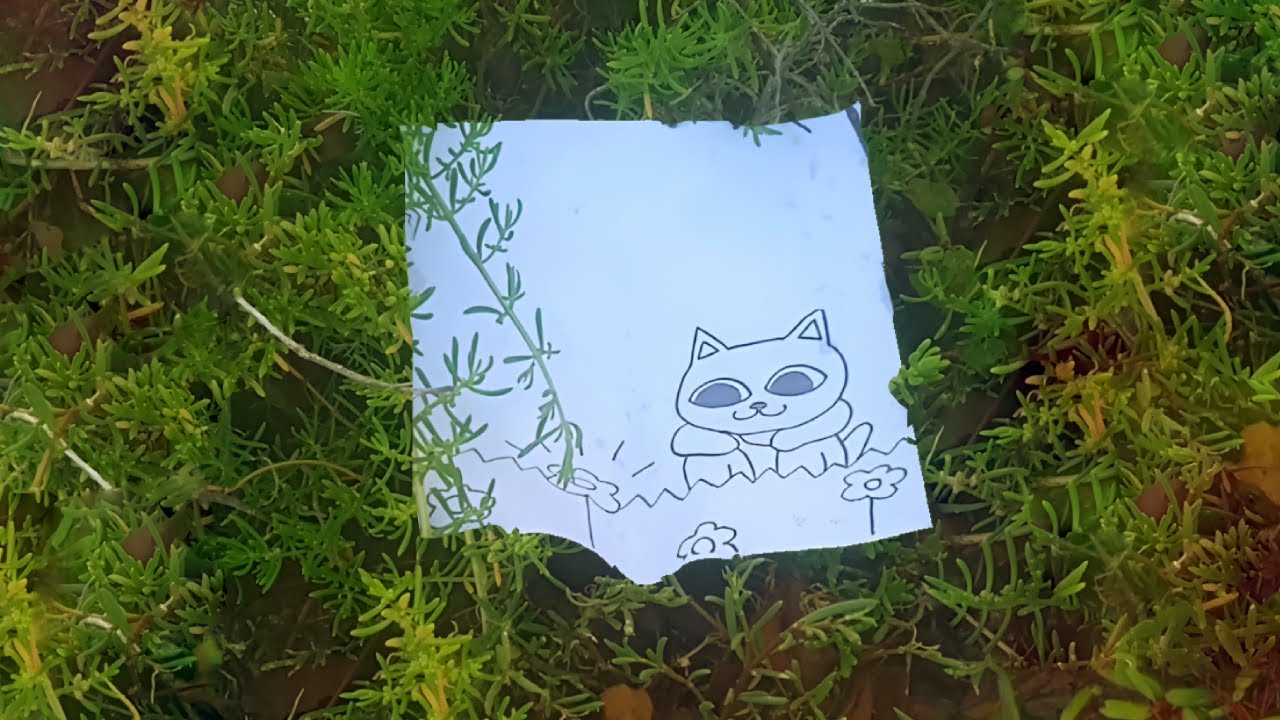 sliipkat - nature,,,,,,,