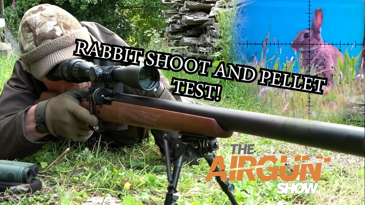 The Airgun Show | Summer rabbit hunting | Bisley airgun pellet review