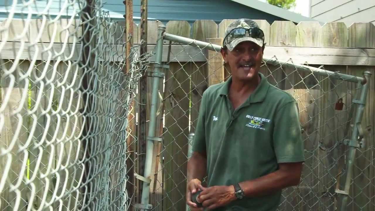My Gulf - Moss Point, Mississippi: Gator Ranchin'