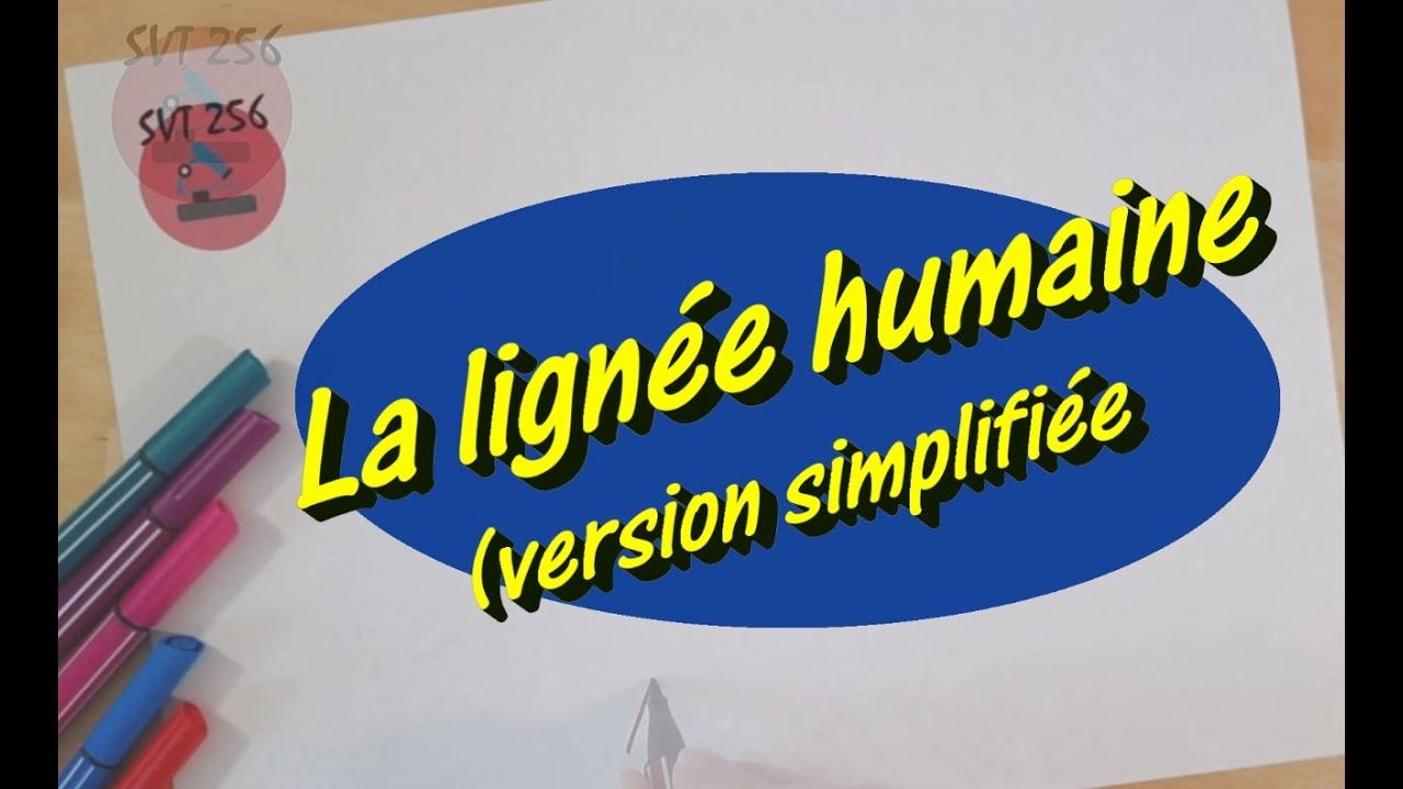 La lignée humaine / Cycle 4