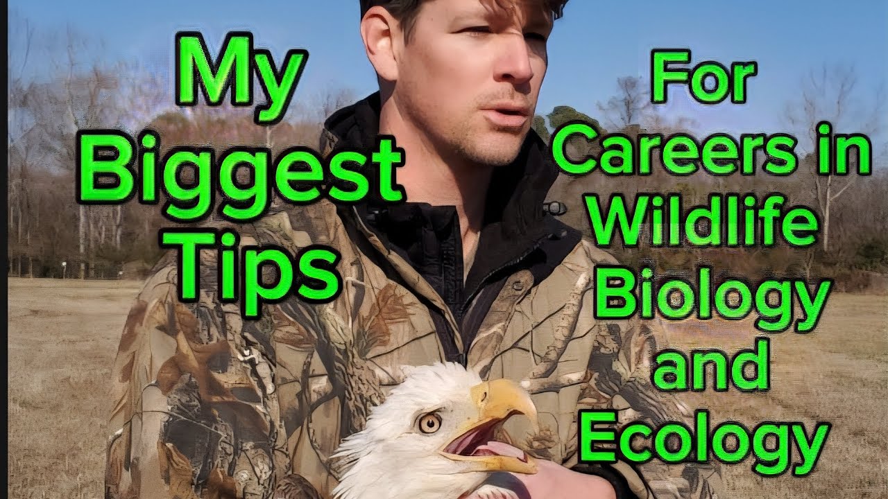 My Biggest Tips for Careers in Wildlife Biology and Ecology 
