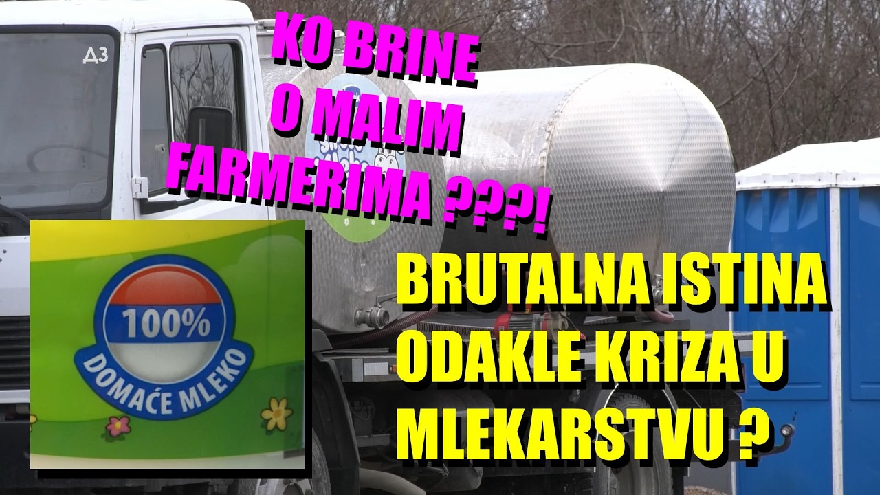 BRUTALNA ISTINA O SITUACIJI S MLEKOM - od najvećeg OTKUPLJIVAČA   KO BRINE O MALIM FARMERIMA ??