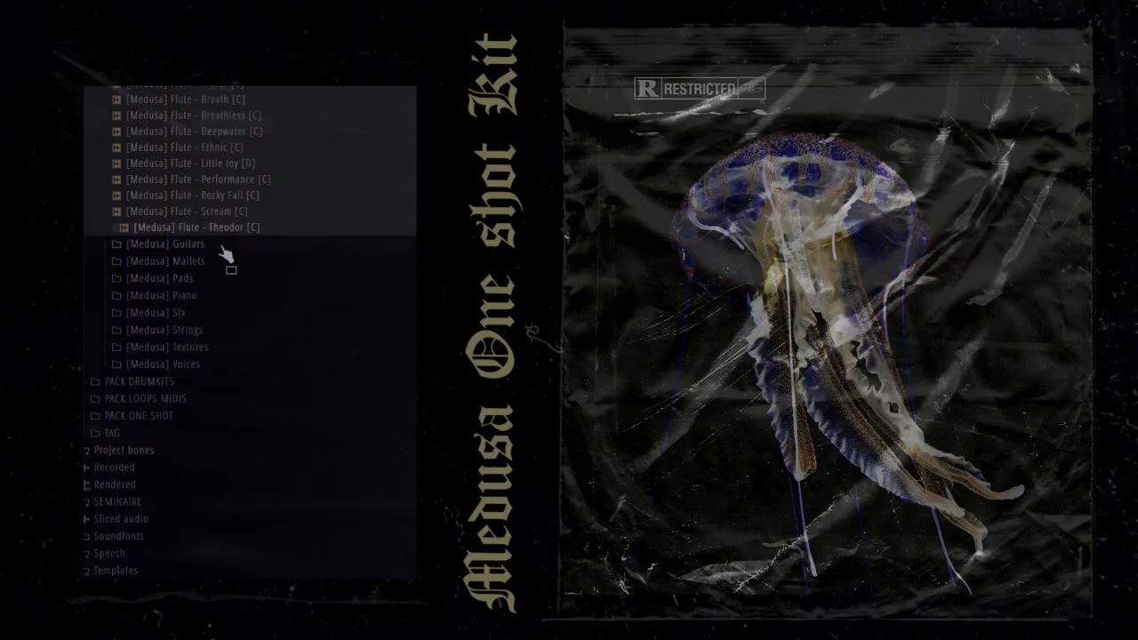 [150+ ONE SHOT KIT   OMNISPHERE, KONTAKT, ARTURIA     One Shot   ''Medusa'' Por RemiDrums   ABYSS