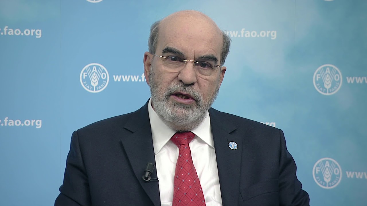#UNFAO DG Message for the CIHEAM #WFD2017
