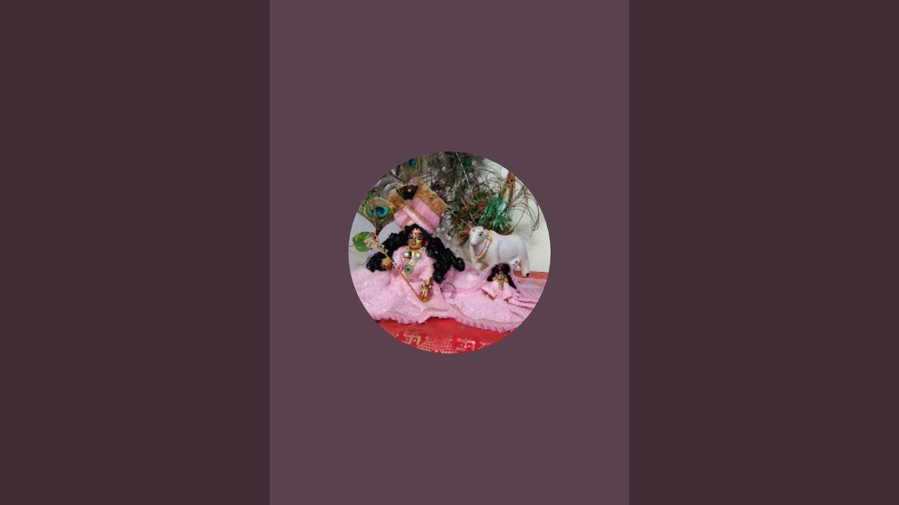 Payal Sachin panwar Vlogs  is live