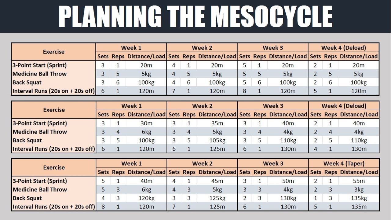 The Fundamentals of Periodization | Planning the Mesocycle