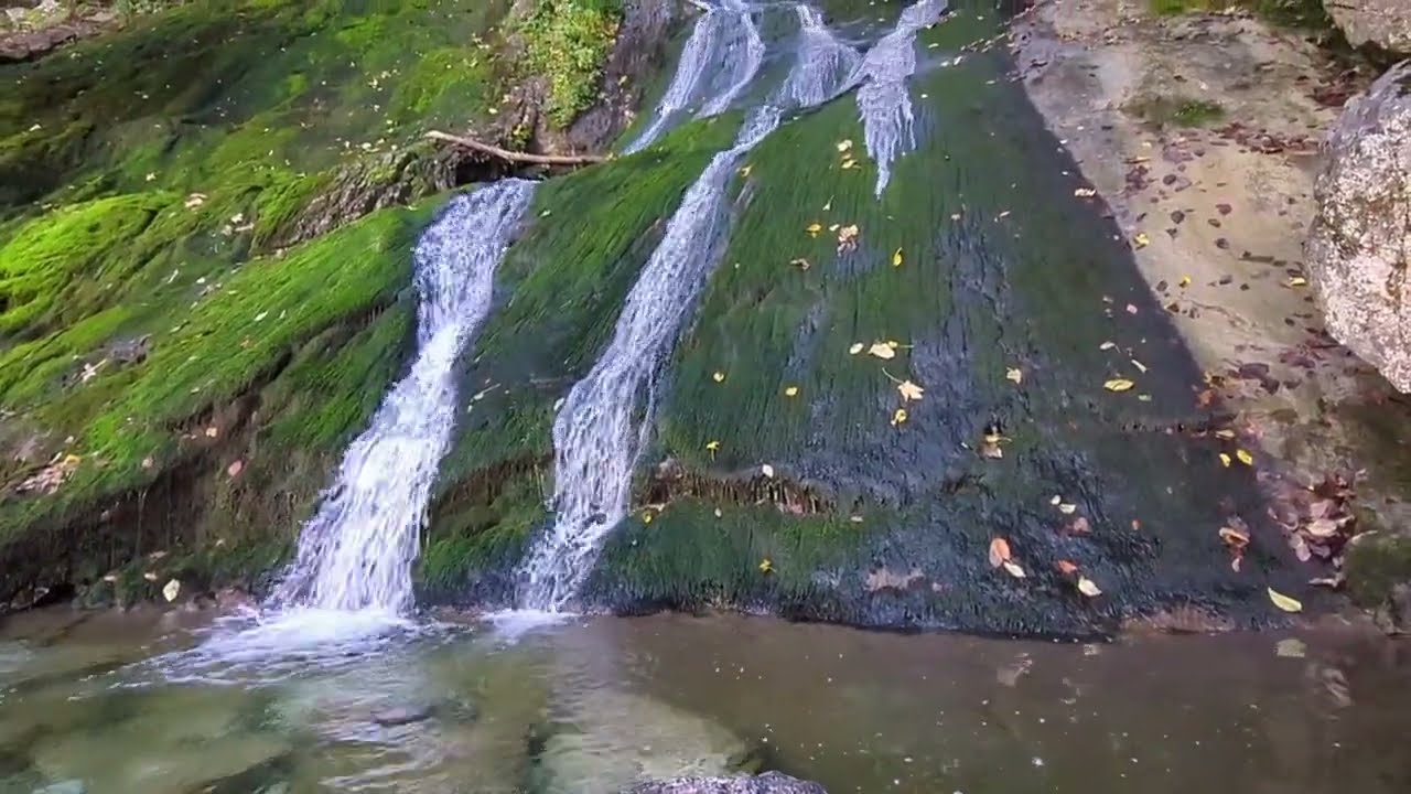 Rothbach Waterfall | A Peaceful Escape Into Nature 🇩🇪#peace #travel #germanytourism #bavaria #calm 