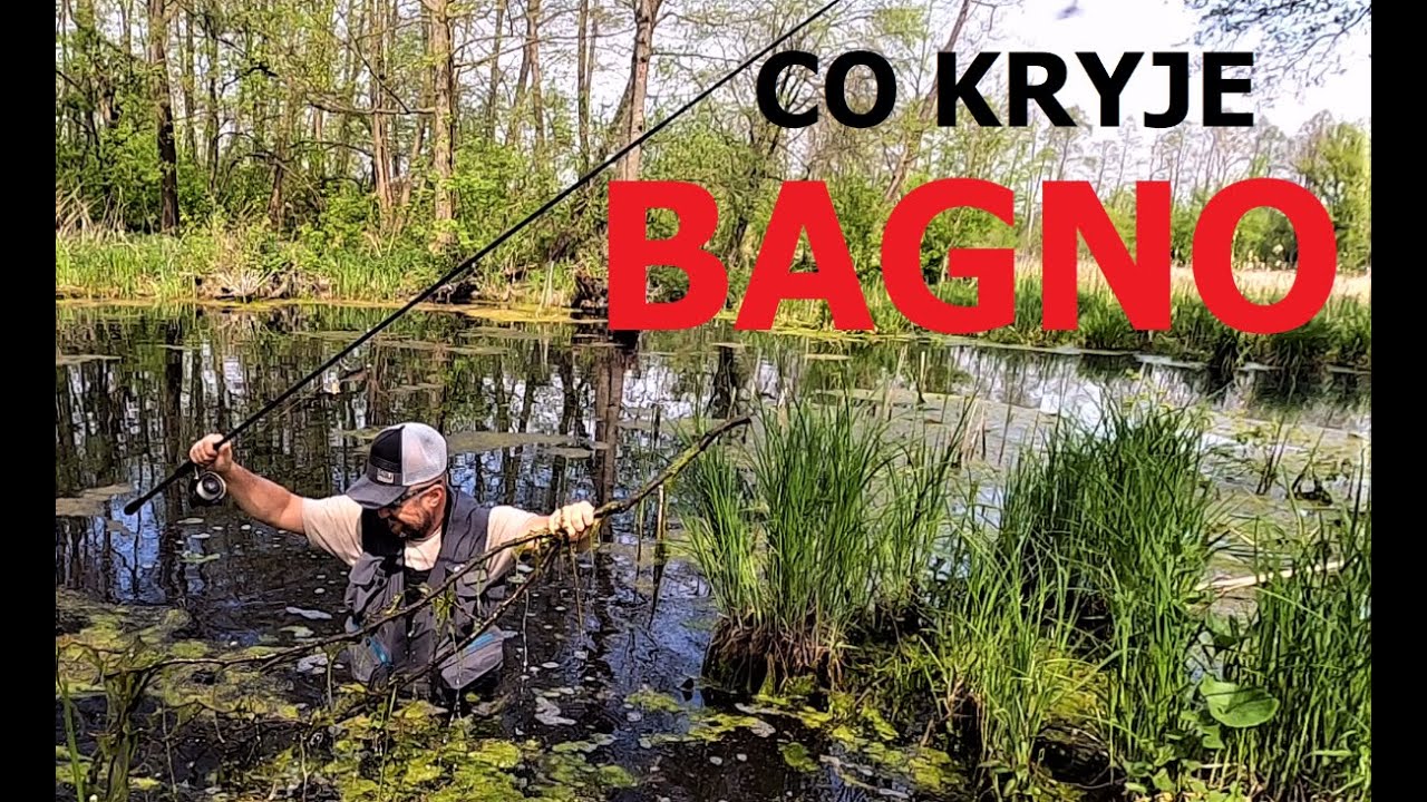 Ryby, grzyby i kłusownicy / odc. 92