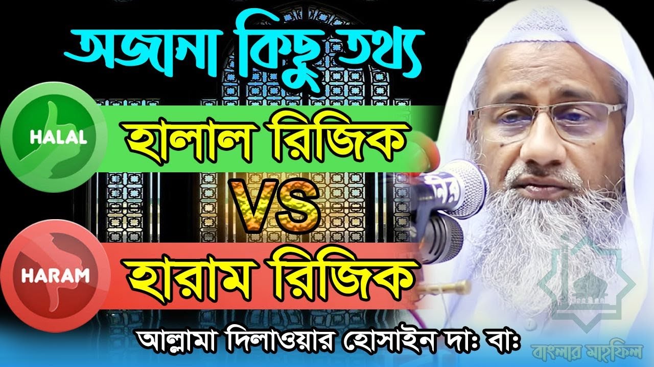 অজানা কিছু তথ্য, হালাল রিজিক এবং হারাম রিজিক - আল্লামা মুফতী দিলাওয়ার হোসাইন দাঃবাঃ #বাংলার_মাহফিল