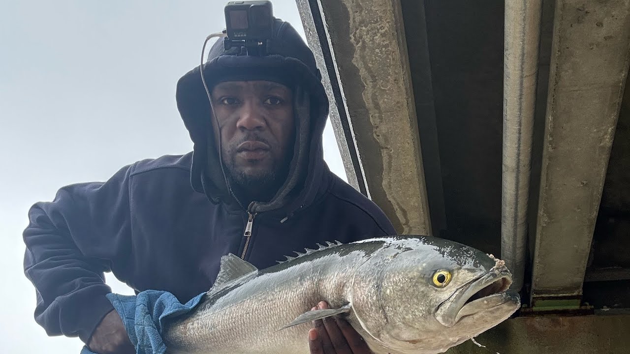 Bluefish Fishing. May 2024. Long Island, NY. #fishing #epic #bluefish #oceanfishing #personalbest