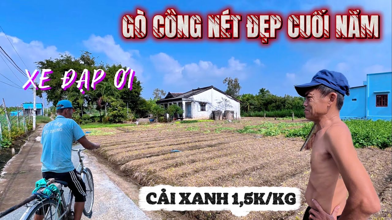 Xe Đạp Ơi Con Đường Quê Còn Đó - Khám Phá Vùng Quê Bình Dị Miệt TX Gò Công Xưa Cuối Năm. 