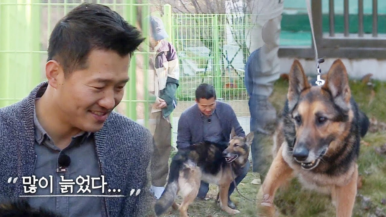 “많이 늙었다” 강형욱, 꿈에 그리던 ‘레오와 재회’ @집사부일체 63회 20190331