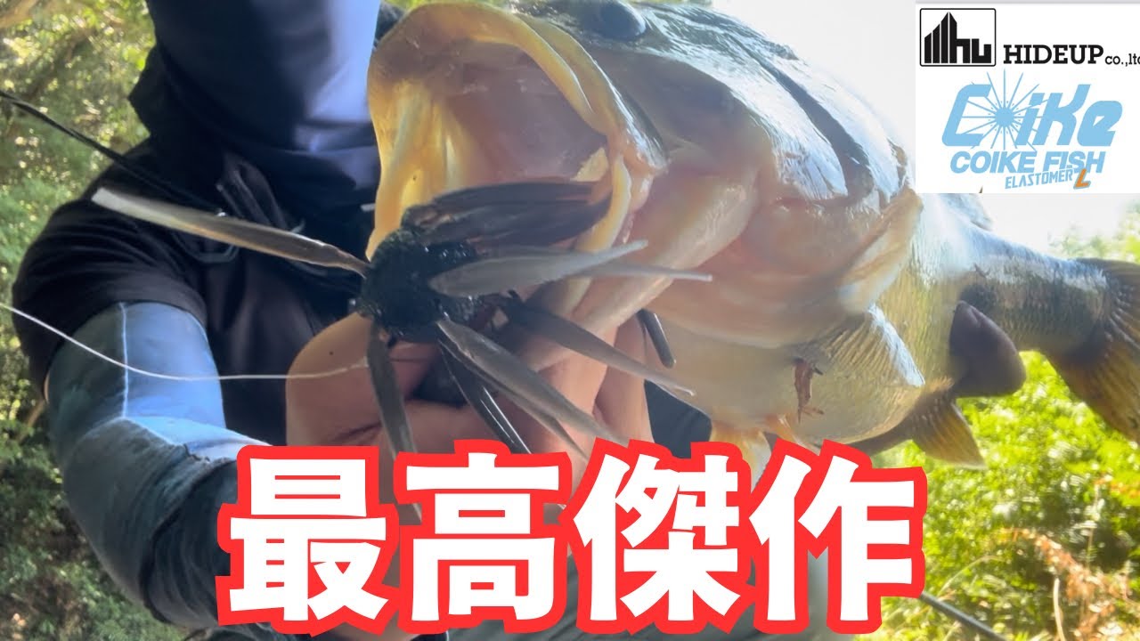 【バス釣り】コイケフィッシュL【COIKE FISH】インプレ！話題の最新ルアーの釣れるセッティング/リグ/使い方を解説しながら実釣したら、デカバス降臨。【ハイドアップ】【2025最強ルアー】