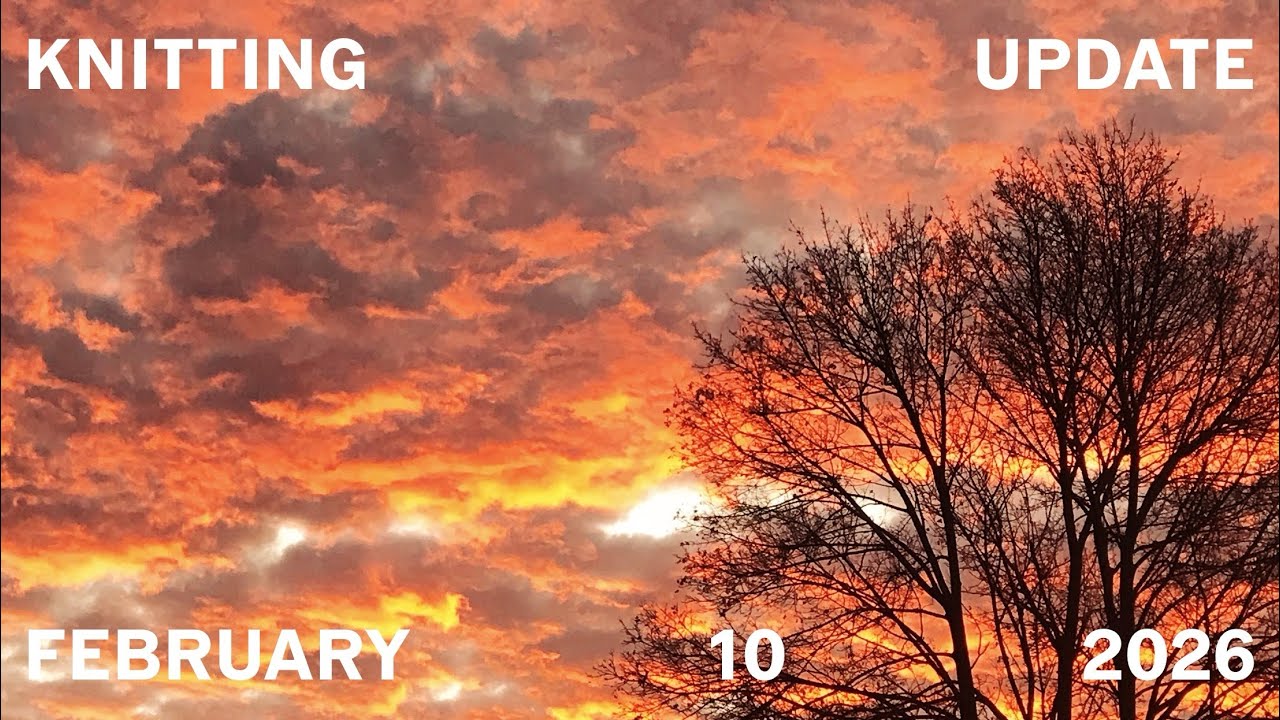 Knitting update 26 for February 10, 2026