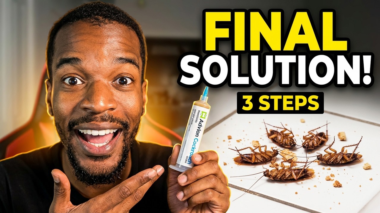 3 Things You Must Do Before Roach Treatment Works
