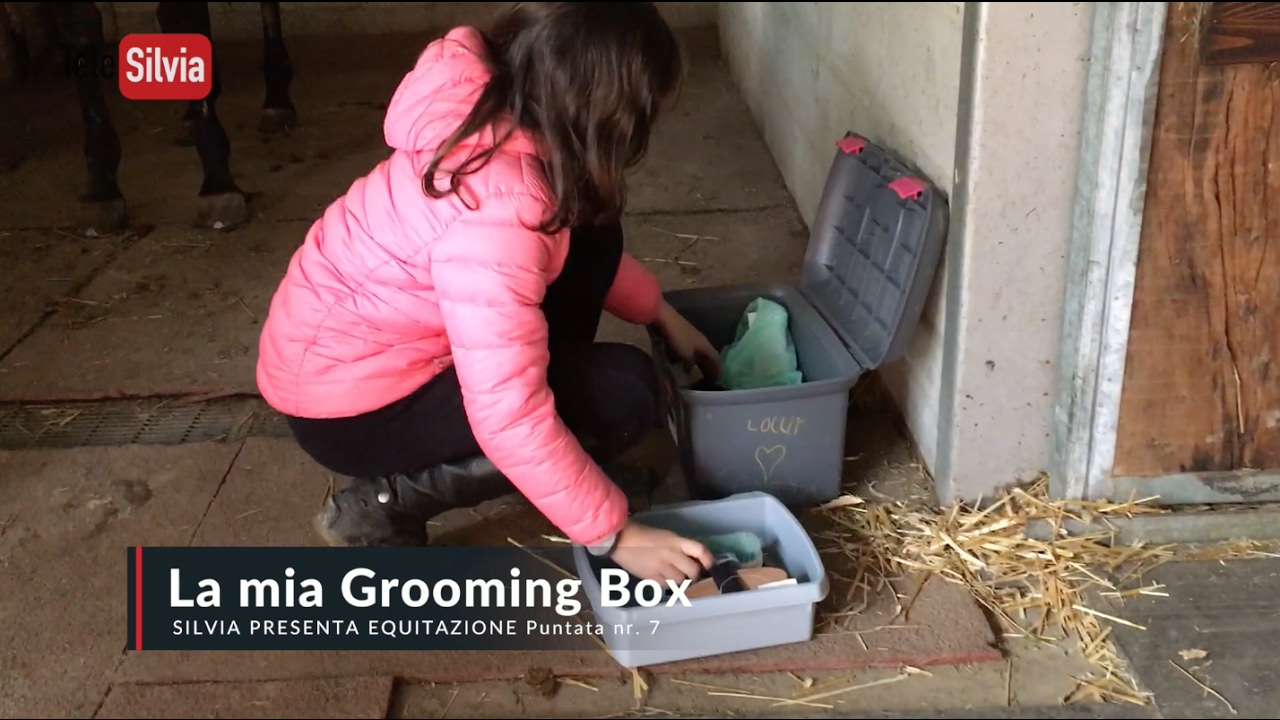 SILVIA PRESENTA EQUITAZIONE Puntata 7 - La mia Grooming Box
