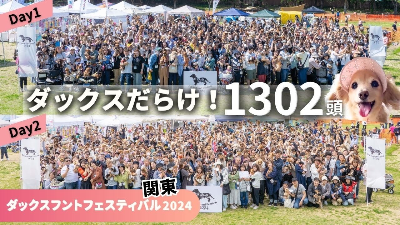 【ダックスフントフェスティバル】1,302頭が集合！犬のイベントはわんこファースト！楽しすぎた2days　2024年5月11日